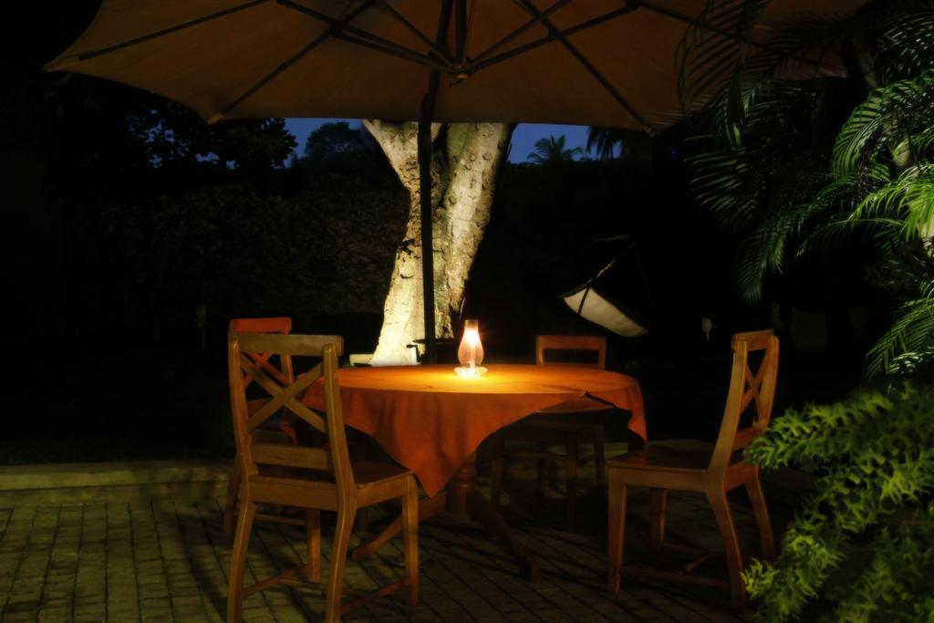 Lodge 19 Negombo Eksteriør bilde