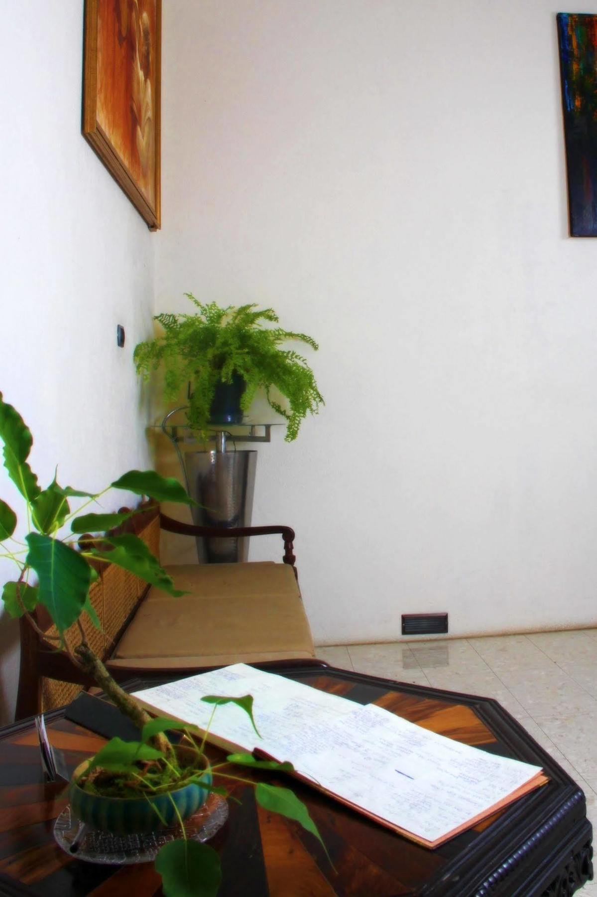 Lodge 19 Negombo Eksteriør bilde
